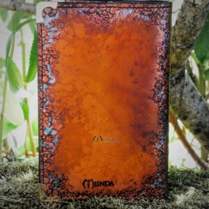 carnet cuir miinda dessin manuscrit grimoire dragon wyvern drake