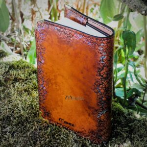 carnet cuir miinda dessin manuscrit grimoire dragon wyvern drake