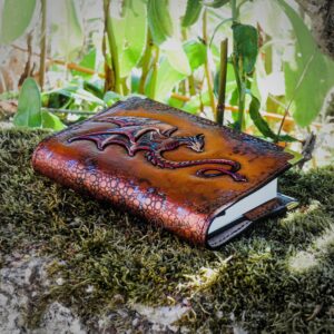 carnet cuir miinda dessin manuscrit grimoire dragon wyvern drake